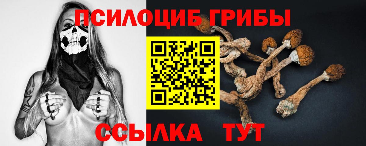 Полевской  Псилоцибиновые грибы Magic Shrooms  Вход с VPN 